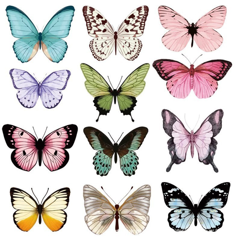 12 pièces 3D papillon Stickers - Art Craft Room avis et prix